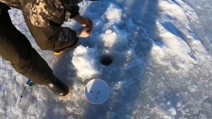 Корюшка/Финский залив/Шпунты/Ловля корюшки на финском заливе в феврале #рыбалка #зима #корюшка