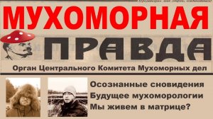 Мухоморная Правда #2