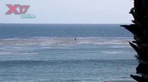 Video Robert Pattinson surfing In Malibu -