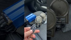 Электронная заслонка WindDrive