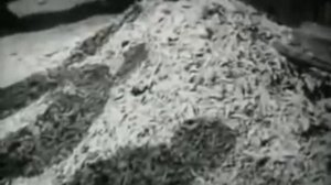 Бухенвальд после освобождения