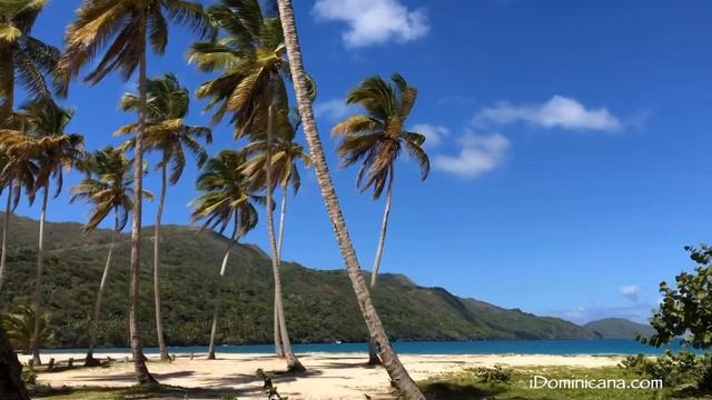 Пляж Ринкон (п-в Самана, Доминикана) - iDominicana.com
