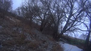 Охота на норку капканами,третия проверка(хитрая куница).