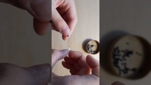 паук из бисера.