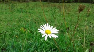 Евгений Косенков. Сколько стоит душа. Христианские песни.