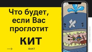 Что будет с вами если Вас проглотит кит?