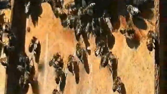 Сны летние смотреть онлайн