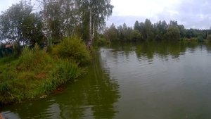 Поисковые грабли работают. Поиск в водоёмах Московской области