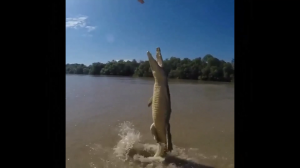 Подборка интересных (невероятных) фактов #7