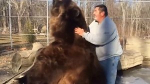 НЕОБЫЧНАЯ ДРУЖБА ЧЕЛОВЕКА И Медведя Гризли!Wrestling A Grizzly Bear In My Garden