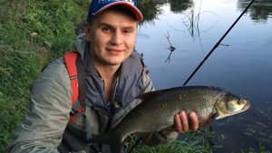 Жерех на воблер Zipbaits Rigge 70 S