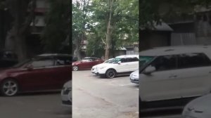 вороны нападают на людей - продолжение