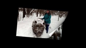 Гурьяновский лес зимой