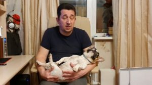 Французский бульдог Варя: перевели собаку на натуральный корм + что входит в меню.