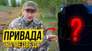 ПРИВАДА НА МЕДВЕДЯ // Как сделать приваду на медведя // Охотхозяйство УЗМЕНЬ