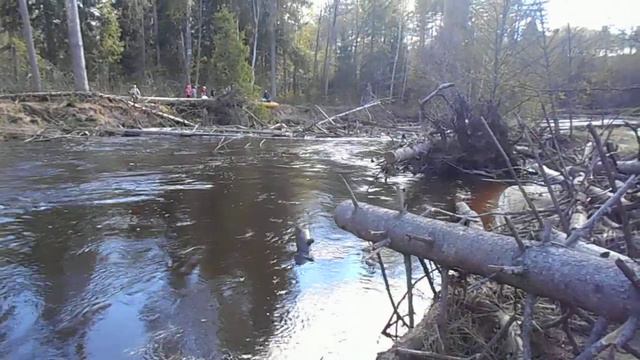 Сплав по Юшуту 2017, компания Индима Чебоксары Непреодолимый завал смотреть онлайн