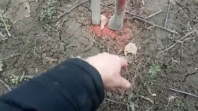 Удобрeния сада вeсной смотреть онлайн