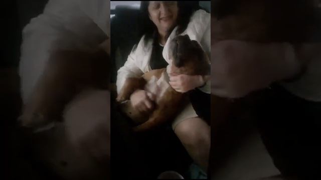 Отказник стафф Сэм. Теперь у него будет всё хорошо ❤️?Счастливый Сэм в Москве. смотреть онлайн