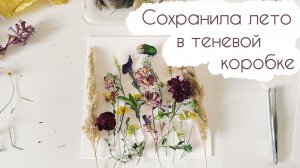 Объёмный гербарий в фоторамке