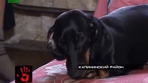 Мать бьет детей