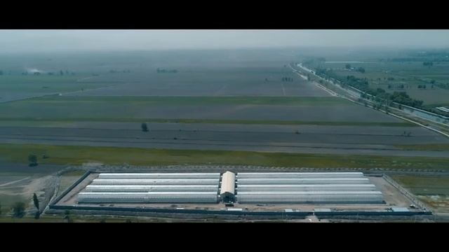 Томат kg смотреть онлайн