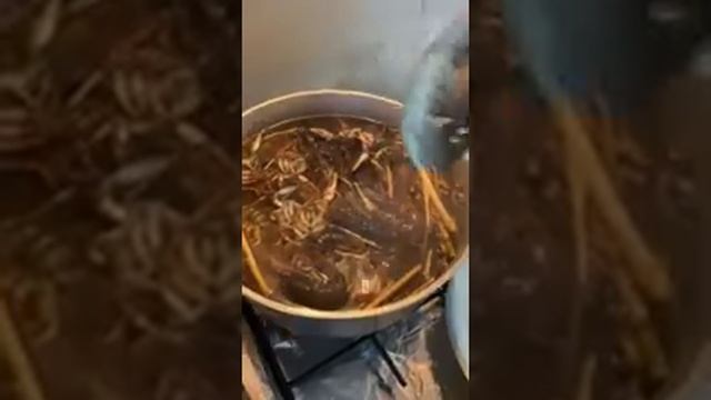 Суп с раками смотреть онлайн