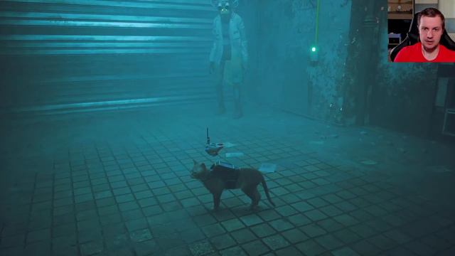 Stray Прохождение [2K] Часть 3 - Спасаем роботов