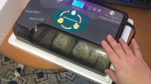 Что делать с треснувшим яйцом, инкубатор, новости от ожереловых попугаев.