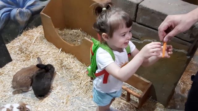 Детский досуг. Развлечения с пользой. Контактный зоопарк