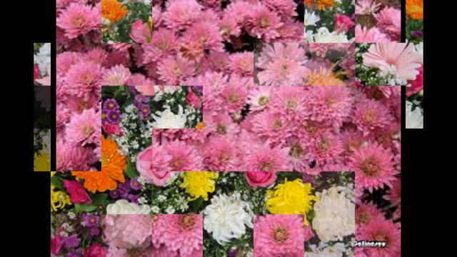 Flori de toamna смотреть онлайн