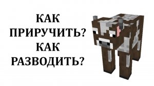 КАК РАЗВОДИТЬ КОРОВ В МАЙНКРАФТЕ? КАК ПРИРУЧИТЬ КОРОВУ В МАЙНКРАФТЕ?