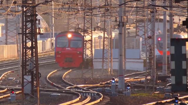 Электропоезда ЭД4М-0444 ЦППК, ЭД4М-0091 Рэкс станция Нара 27.04.2020 смотреть онлайн