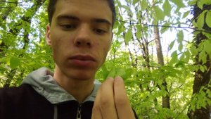 Ем листья бука!