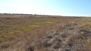 Святилище Трёхостровское