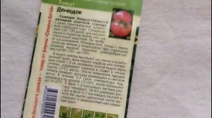 Штамбовые томаты - не подвязываем, а многие и не пасынкуем....