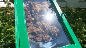 СОЛНЕЧНАЯ ВОСКОТОПКА СВОИМИ РУКАМИ!!!