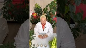 НАРЦИСС И ЖЕРТВА. НА ИЗЛОМЕ. Екатерина Эрлих