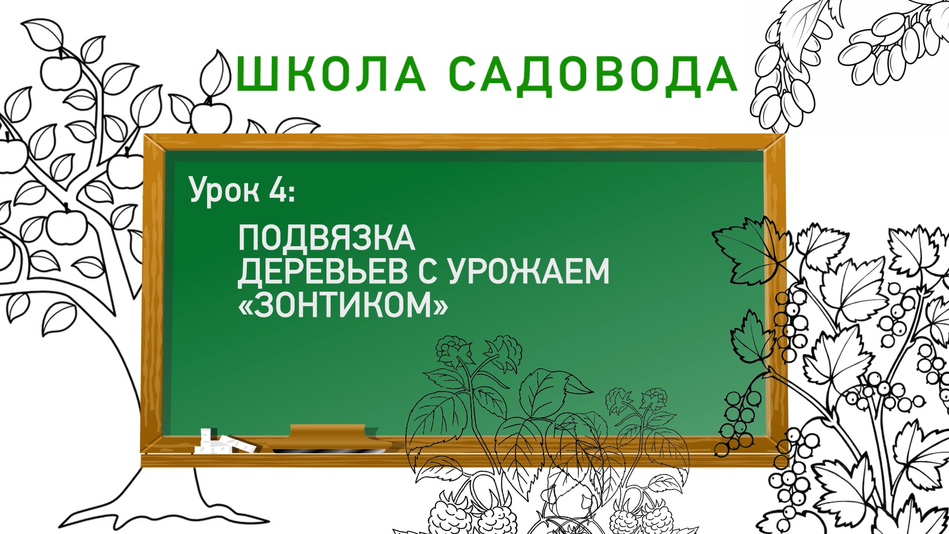 Подвязка деревьев с урожаем «зонтиком». Школа садовода. Урок 4