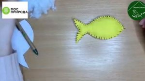 Мастер-класс «Рыбка из фетра»