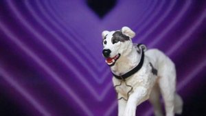 Вопрос-ответ совместный с каналом LosttttttINDark // schleich // шляйх