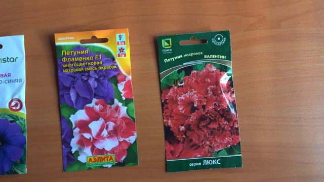 Результаты посева петуний смотреть онлайн