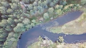 Под Кировом Калужской области 2019