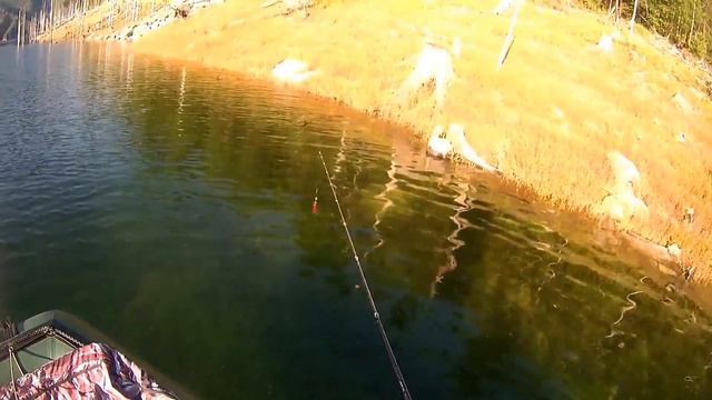 Syclops спасает от позора)) Реальная_рыбалка смотреть онлайн