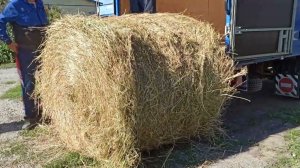 Операция "Ы" или Новый Этап в жизни