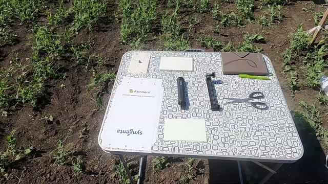 Феромонная ловушка на гороховую плодожорку, Краснодар