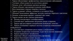 Что такое тархун? + рецепт