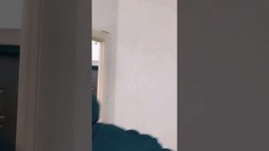 2 ЧАСТЬ. Измеритель любви
