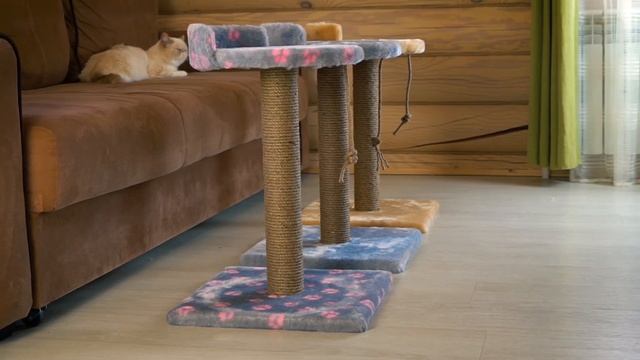 Разноцветные когтеточки столбики смотреть онлайн