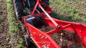 ? Shifeng SF-244С сам копает картошку картофелекопалкой Kerland KT-1 • Урожай 2021