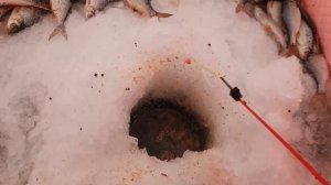 Лучшая Прикормка для Зимней Рыбалки на Белую Рыбу